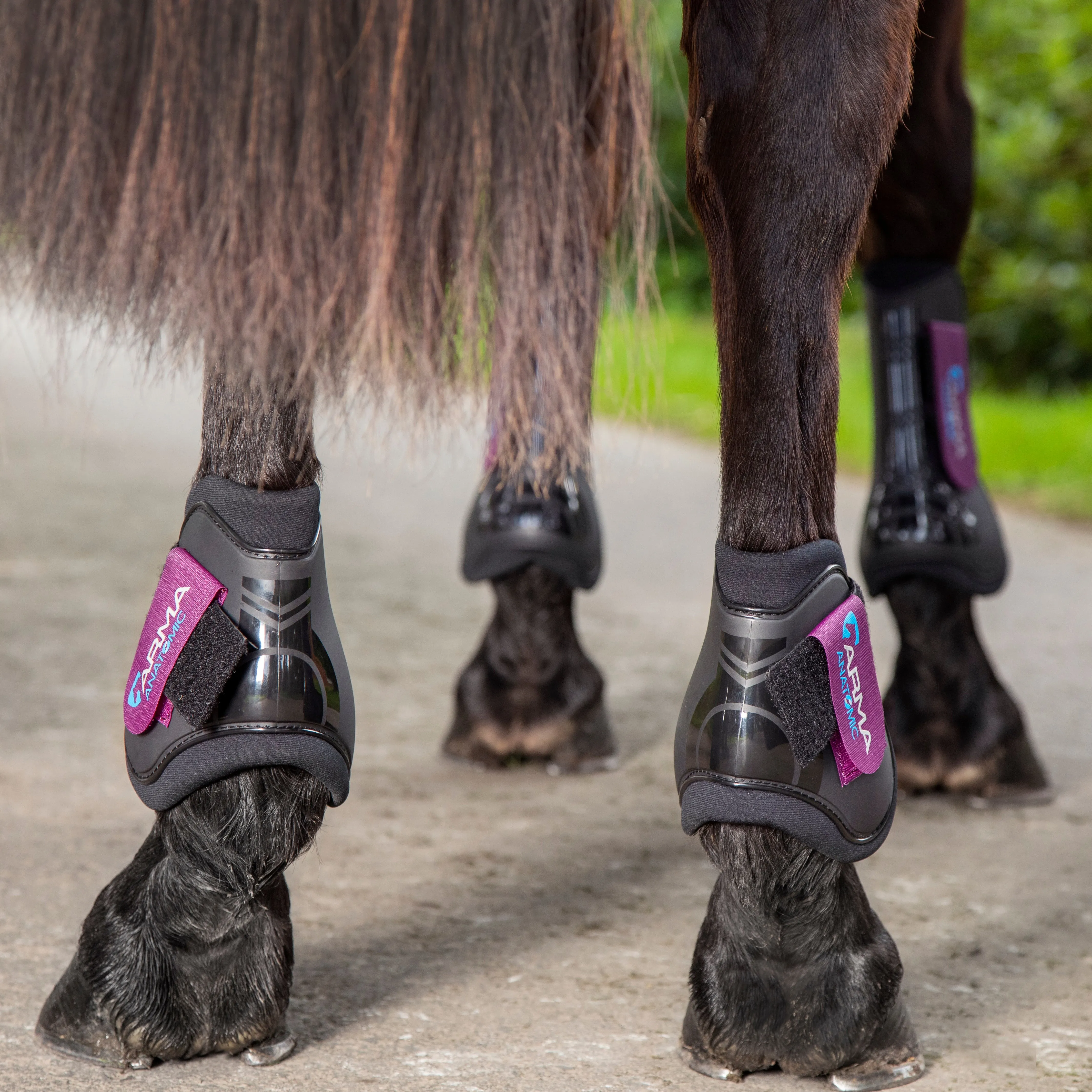 ARMA Fetlock Boots