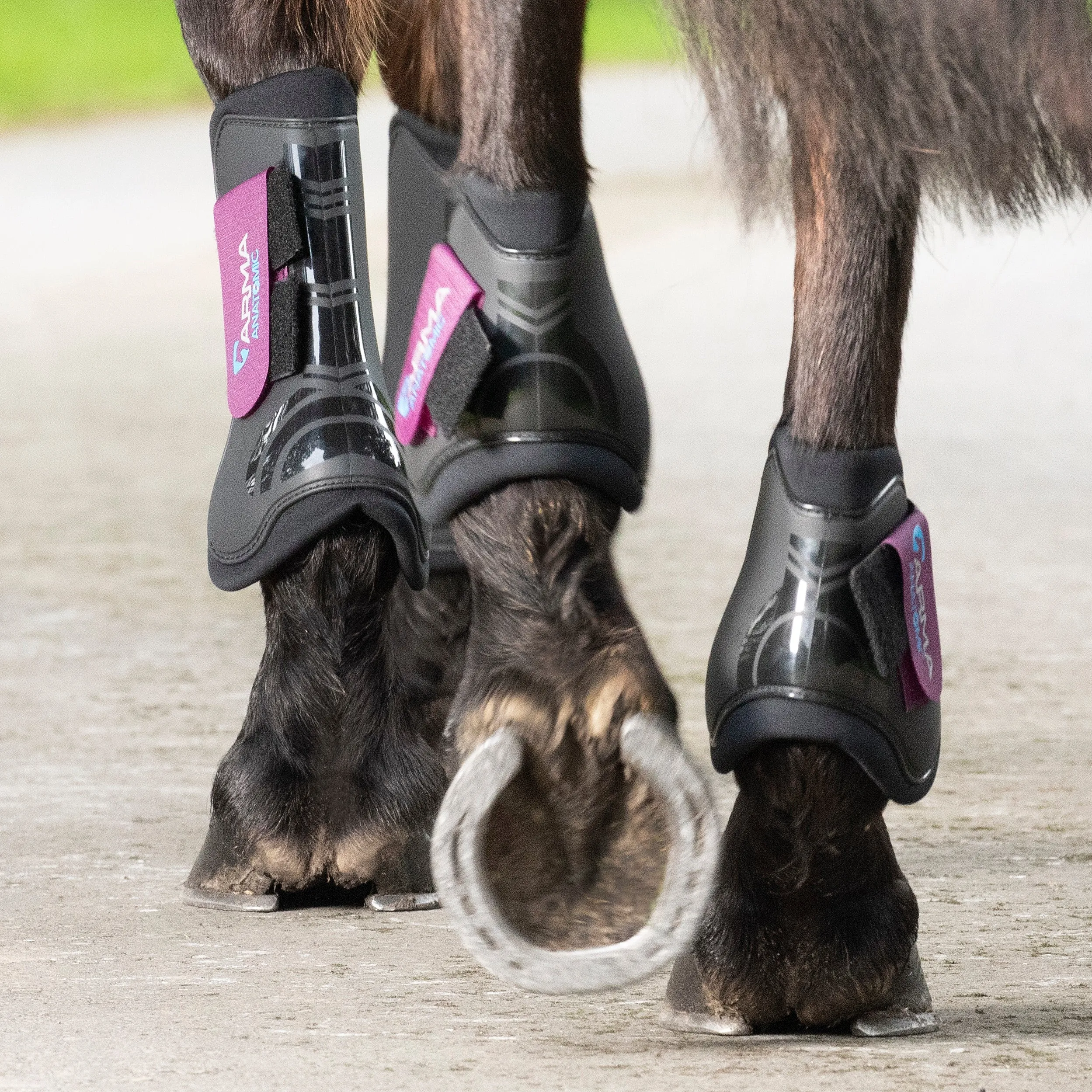 ARMA Fetlock Boots