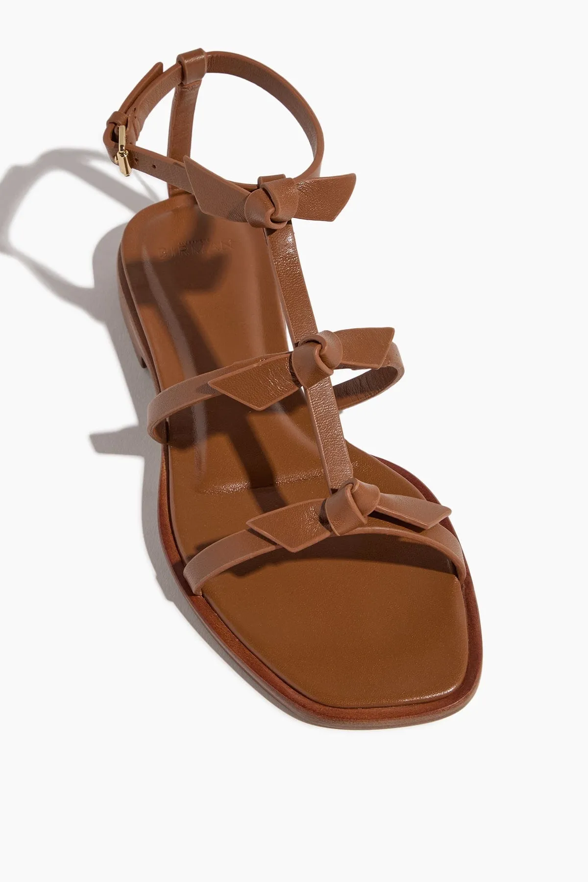 Slim Lolita Flat Sandal in Espresso